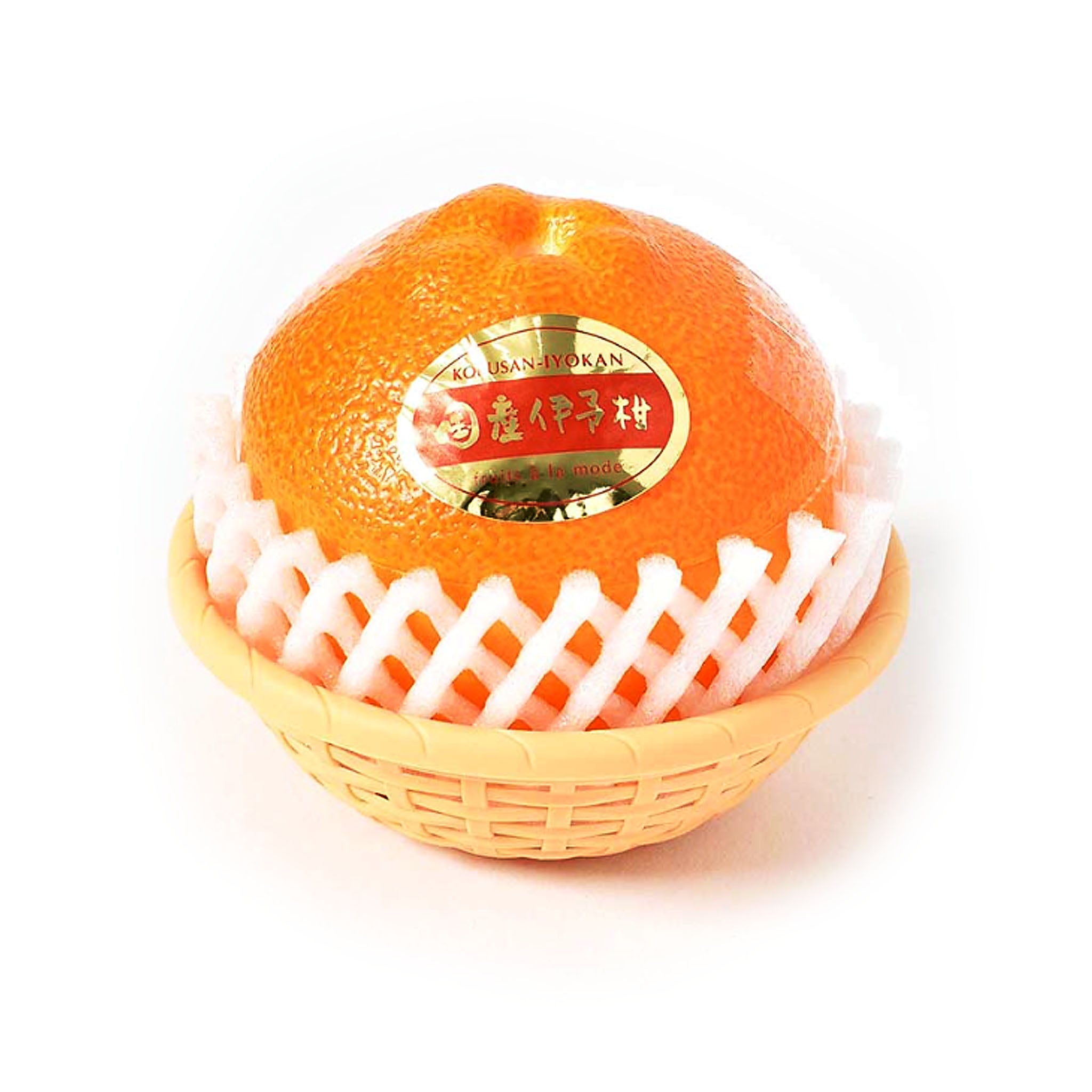 Kyojyurakuan Fruit ala mode Iyokan